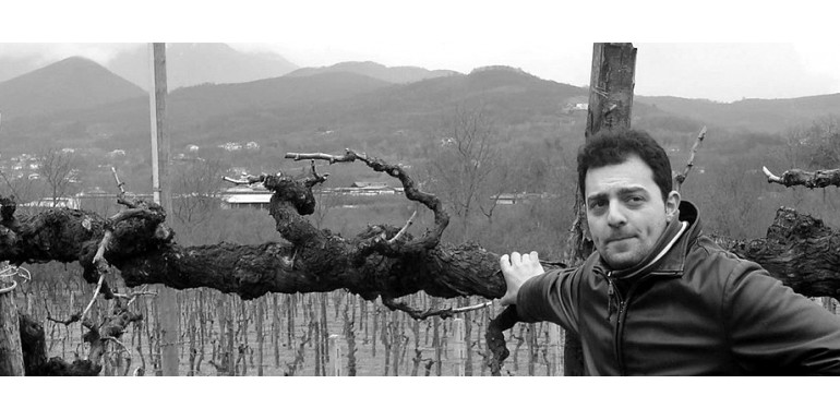 Fiano Particella 928: verticale del più grande vitigno bianco italiano