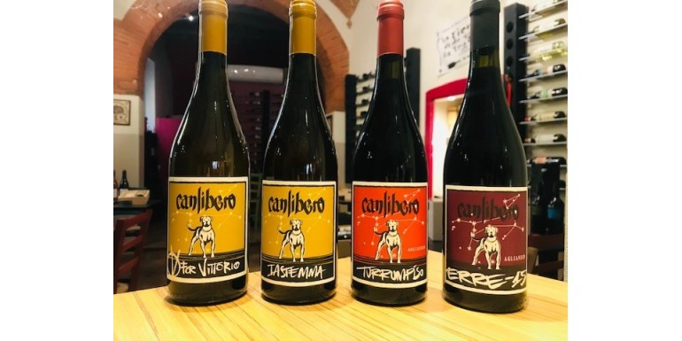 Vini emozionanti, vivaci e naturali del Sannio, i vini di Canlibero