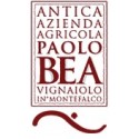 Paolo Bea
