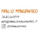Manlio Manganaro